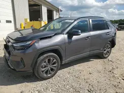 4T3B6RFV8NU097286 2022 TOYOTA RAV 4