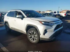 4T3B6RFV8PU113568 2023 TOYOTA RAV 4