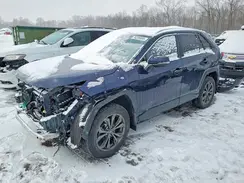 4T3B6RFV8PU121816 2023 TOYOTA RAV 4