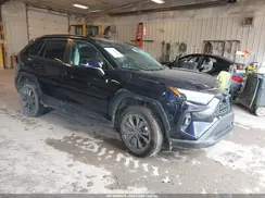 4T3B6RFV8RU142717 2024 TOYOTA RAV 4