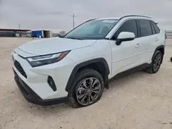 4T3B6RFV8RU154267 2024 TOYOTA RAV 4