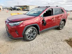 4T3B6RFV8RU165401 2024 TOYOTA RAV 4