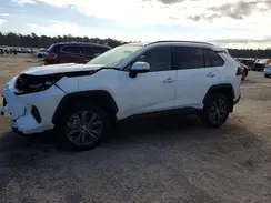 4T3B6RFV8RU175216 2024 TOYOTA RAV 4