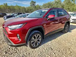4T3B6RFV8SU187081 2025 TOYOTA RAV 4