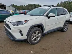 4T3B6RFV9MU045261 2021 TOYOTA RAV 4