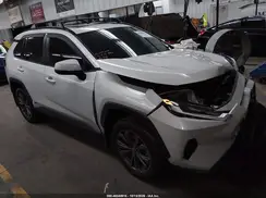 4T3B6RFV9NU082702 2022 TOYOTA RAV 4