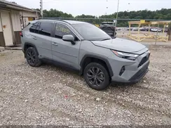 4T3B6RFV9PU135823 2023 TOYOTA RAV 4