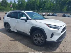 4T3B6RFV9PU137104 2023 TOYOTA RAV 4