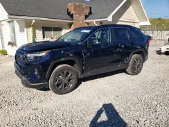 4T3B6RFV9RU161681 2024 TOYOTA RAV 4