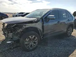4T3B6RFV9RU162216 2024 TOYOTA RAV 4