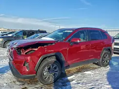 4T3B6RFV9SU192497 2025 TOYOTA RAV 4