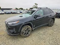 4T3B6RFVXPU127567 2023 TOYOTA RAV 4