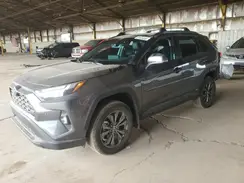 4T3B6RFVXPU136009 2023 TOYOTA RAV 4