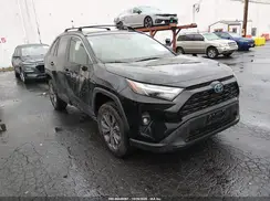 4T3B6RFVXRU148437 2024 TOYOTA RAV 4