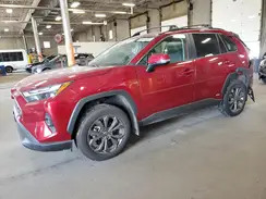 4T3B6RFVXRU148731 2024 TOYOTA RAV 4
