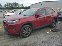 4T3B6RFVXRU161608 2024 TOYOTA RAV 4