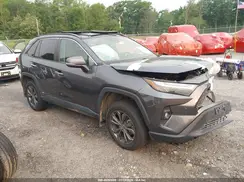 4T3D6RFV0PU135041 2023 TOYOTA RAV 4