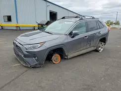 4T3D6RFV1MU044257 2021 TOYOTA RAV 4