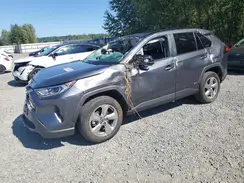 4T3D6RFV1MU046638 2021 TOYOTA RAV 4