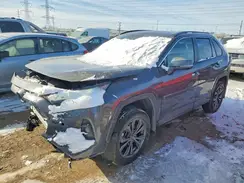 4T3D6RFV1PU126378 2023 TOYOTA RAV 4