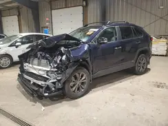4T3D6RFV1RU159710 2024 TOYOTA RAV 4