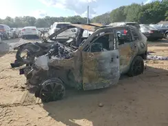 4T3D6RFV1RU166026 2024 TOYOTA RAV 4