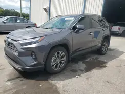 4T3D6RFV1RU166172 2024 TOYOTA RAV 4