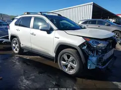 4T3D6RFV2MU036636 2021 TOYOTA RAV 4
