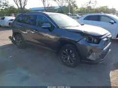 4T3D6RFV2RU140731 2024 TOYOTA RAV 4