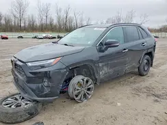 4T3D6RFV2RU144519 2024 TOYOTA RAV 4
