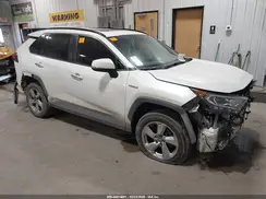4T3D6RFV3MU006769 2021 TOYOTA RAV 4