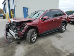 4T3D6RFV3MU020610 2021 TOYOTA RAV 4