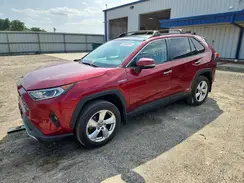 4T3D6RFV3MU022499 2021 TOYOTA RAV 4