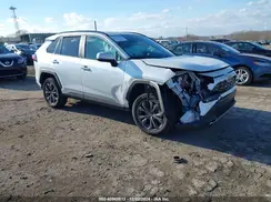 4T3D6RFV3PU129282 2023 TOYOTA RAV 4