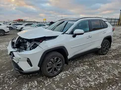 4T3D6RFV3RU152838 2024 TOYOTA RAV 4
