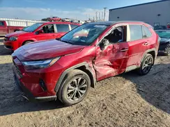 4T3D6RFV3RU164021 2024 TOYOTA RAV 4