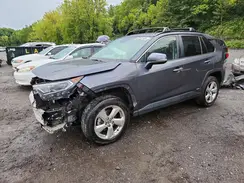 4T3D6RFV4MU033253 2021 TOYOTA RAV 4