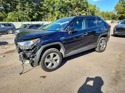 4T3D6RFV4MU038999 2021 TOYOTA RAV 4