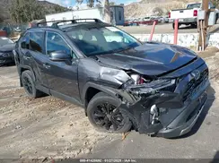 4T3D6RFV4NU095446 2022 TOYOTA RAV 4