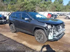 4T3D6RFV4PU120302 2023 TOYOTA RAV 4