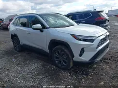 4T3D6RFV4RU143968 2024 TOYOTA RAV 4