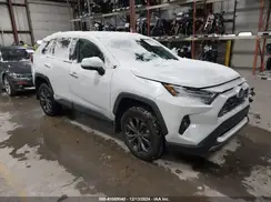 4T3D6RFV5RU141291 2024 TOYOTA RAV 4