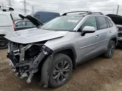 4T3D6RFV6PU137019 2023 TOYOTA RAV 4