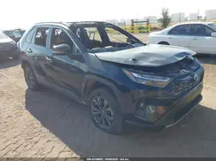 4T3D6RFV6RU155376 2024 TOYOTA RAV 4