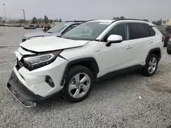4T3D6RFV7LU003775 2020 TOYOTA RAV 4