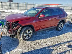 4T3D6RFV7MU051083 2021 TOYOTA RAV 4