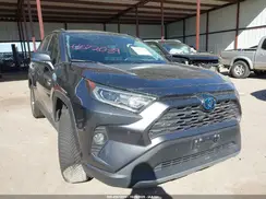 4T3D6RFV8MU033904 2021 TOYOTA RAV 4