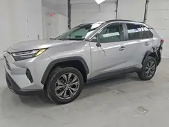 4T3D6RFV8PU129746 2023 TOYOTA RAV 4