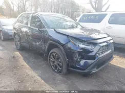 4T3D6RFV8RU149613 2024 TOYOTA RAV 4