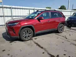 4T3D6RFV8RU164628 2024 TOYOTA RAV 4